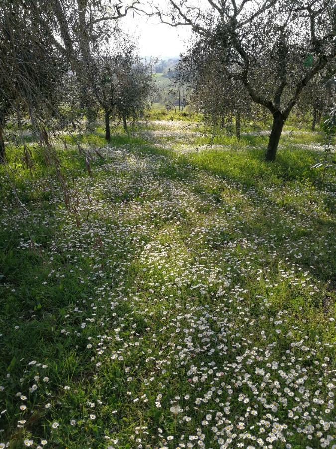 I Roseti Farm stay Montepulciano