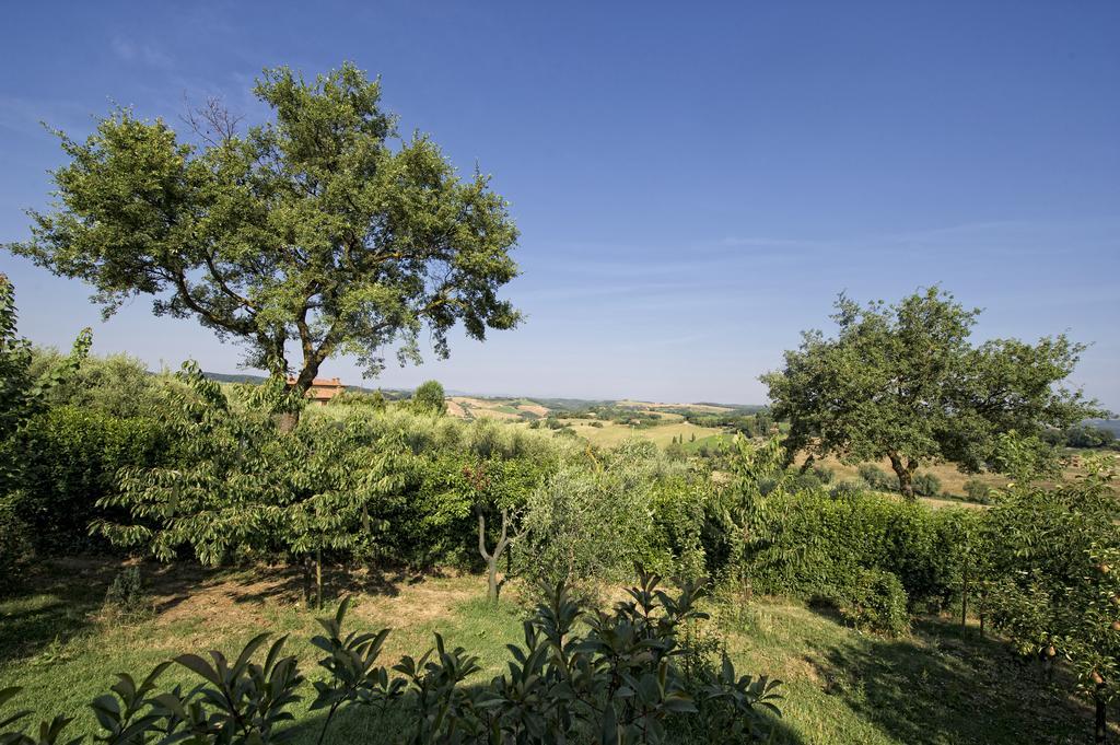 Agriturismo I Roseti Farm stay Montepulciano